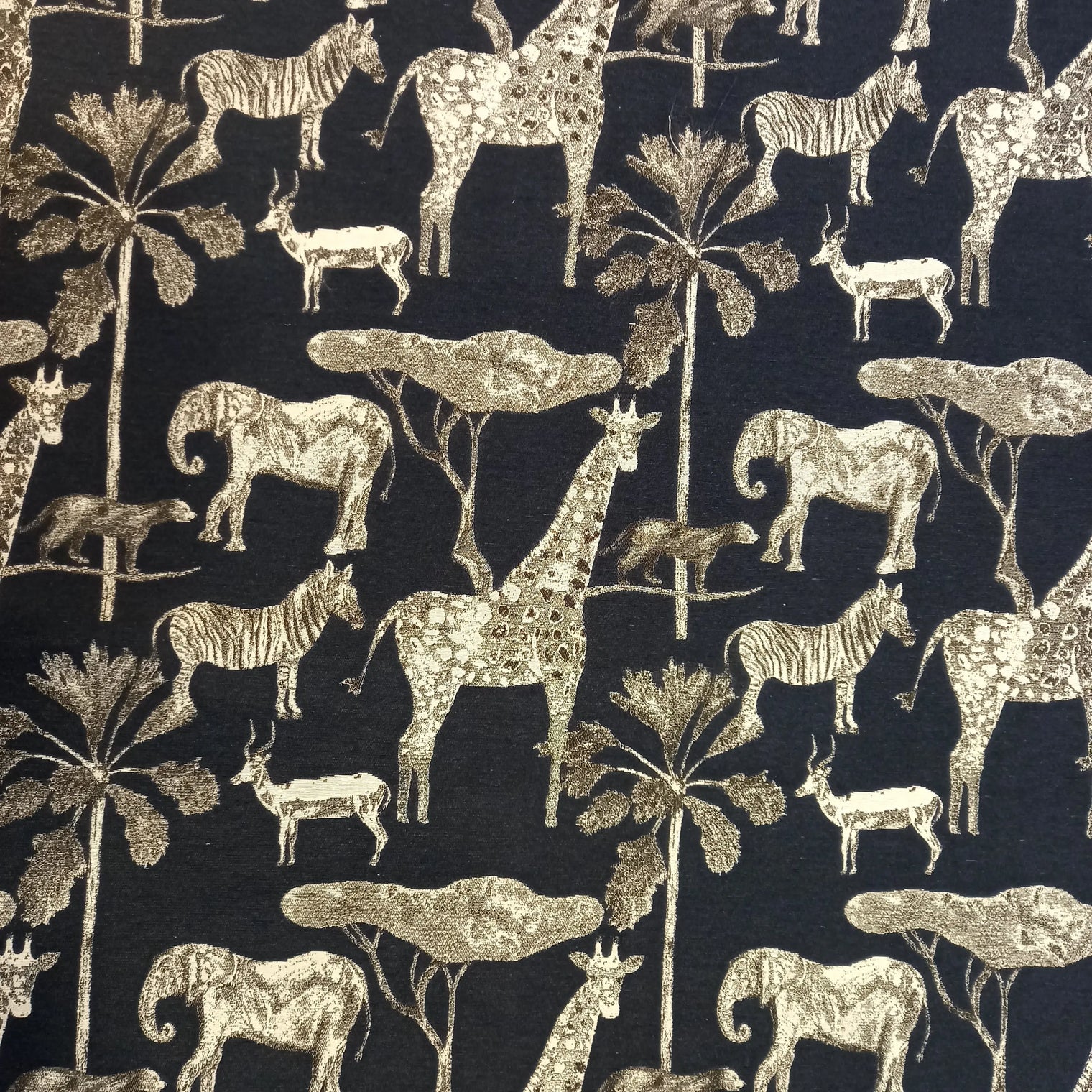 SABANA Not specified