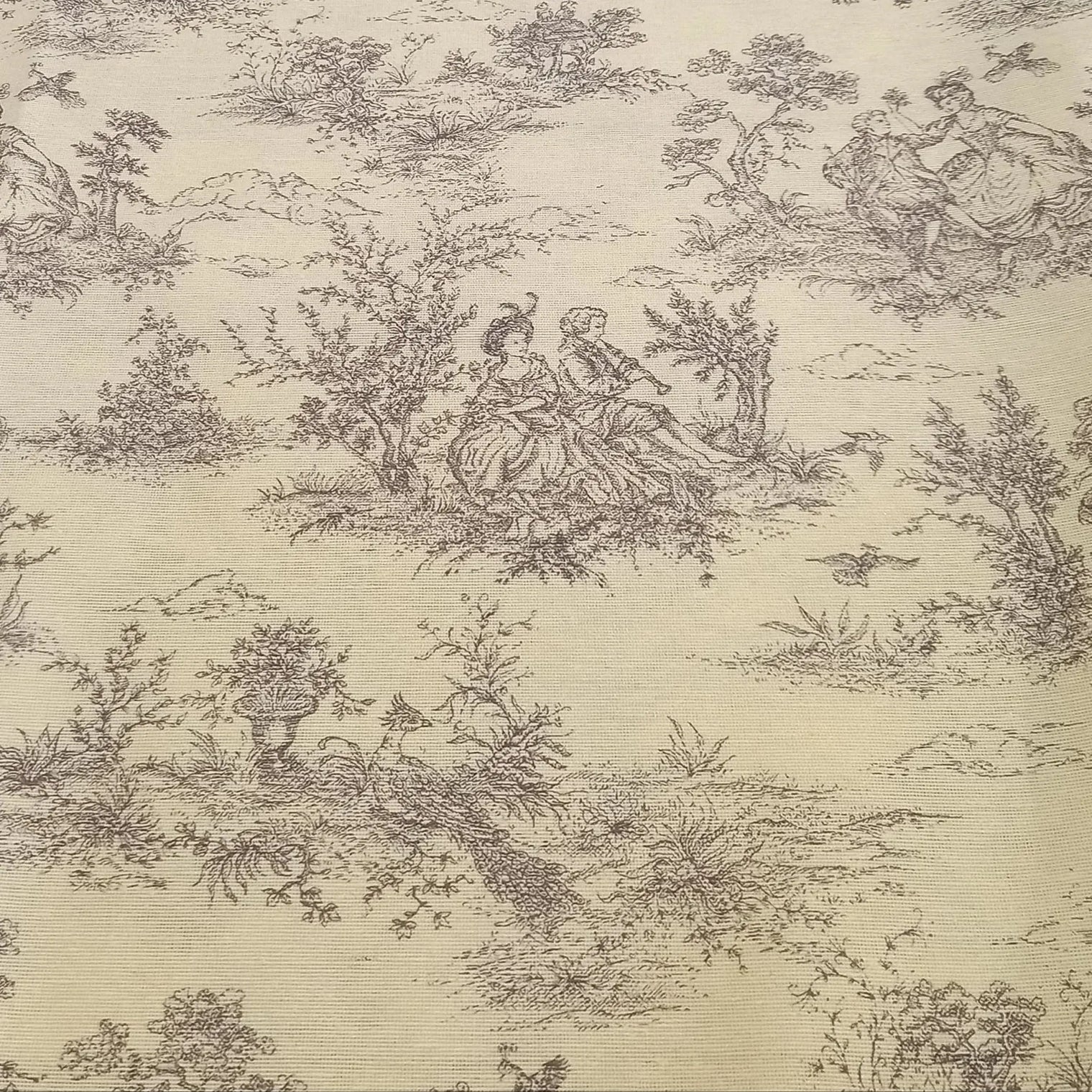 TOILE GREY Not specified