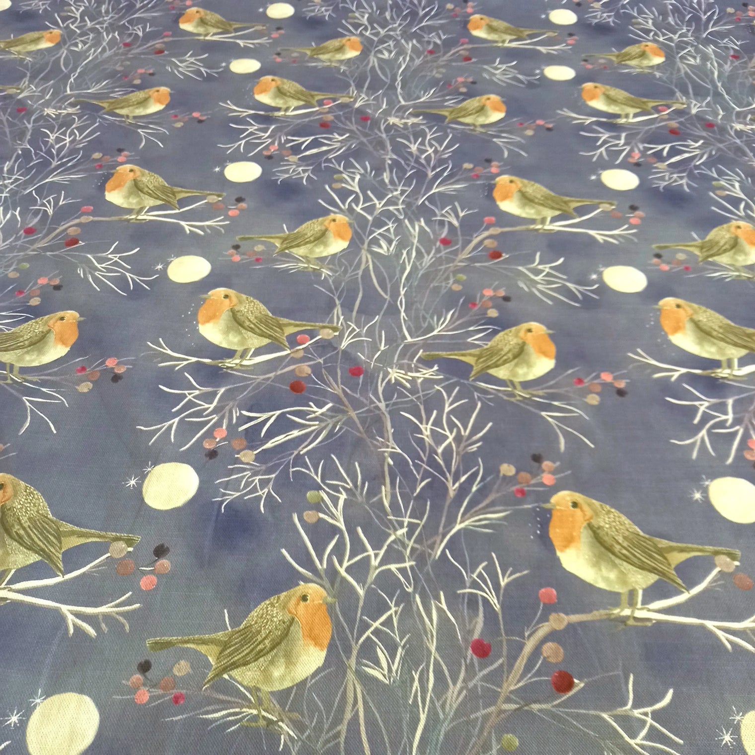 FESTIVE ROBIN Not specified