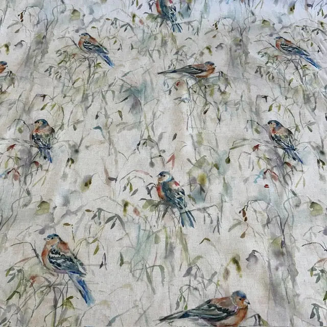 CHAFFINCH Not specified