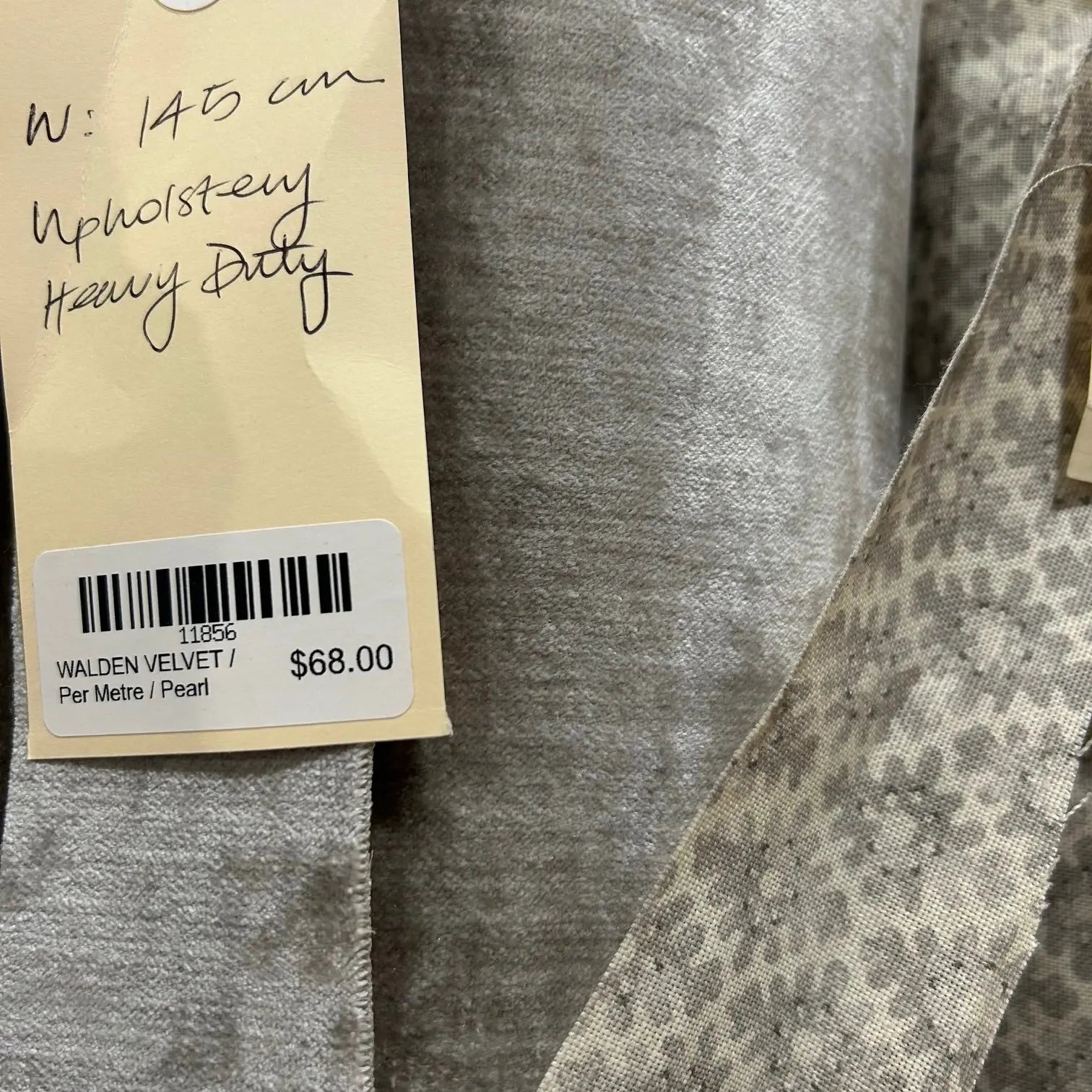 WALDEN VELVET Not specified