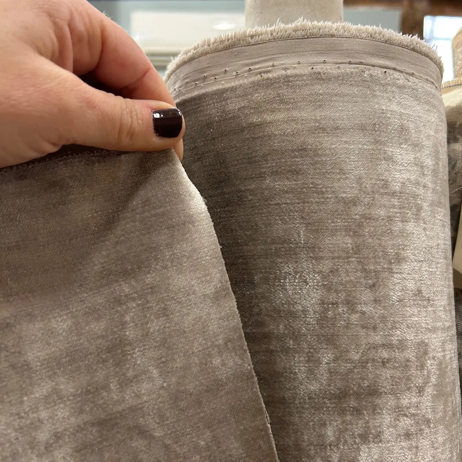 WALDEN VELVET Not specified