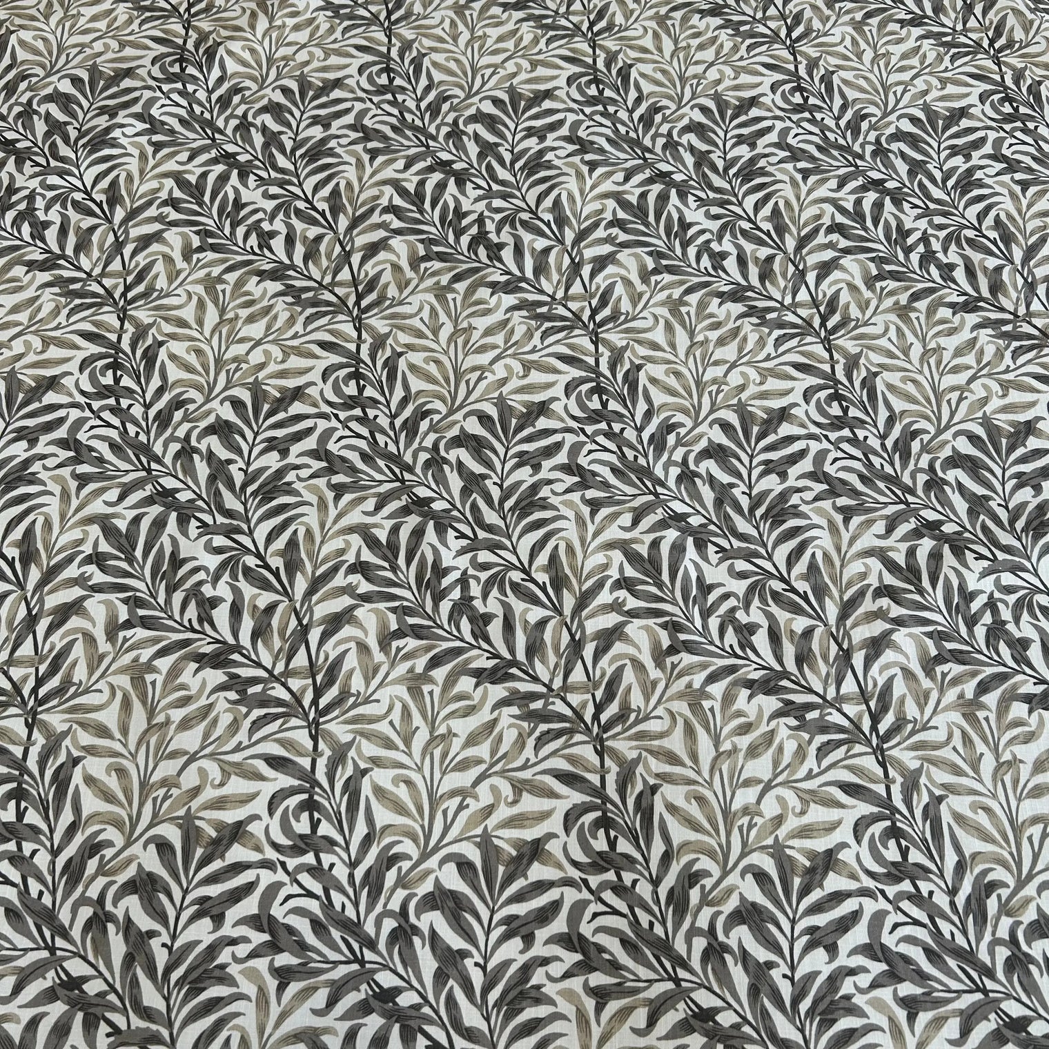 WILLOW FLAX Not specified