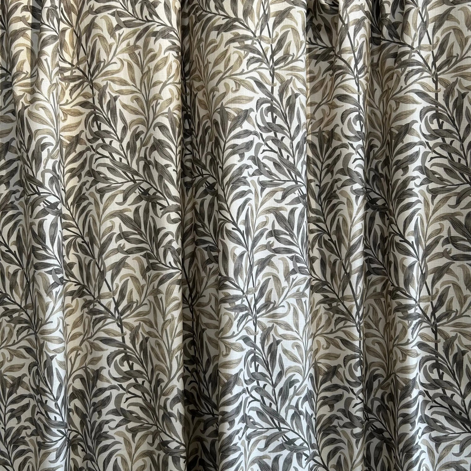 WILLOW FLAX Not specified