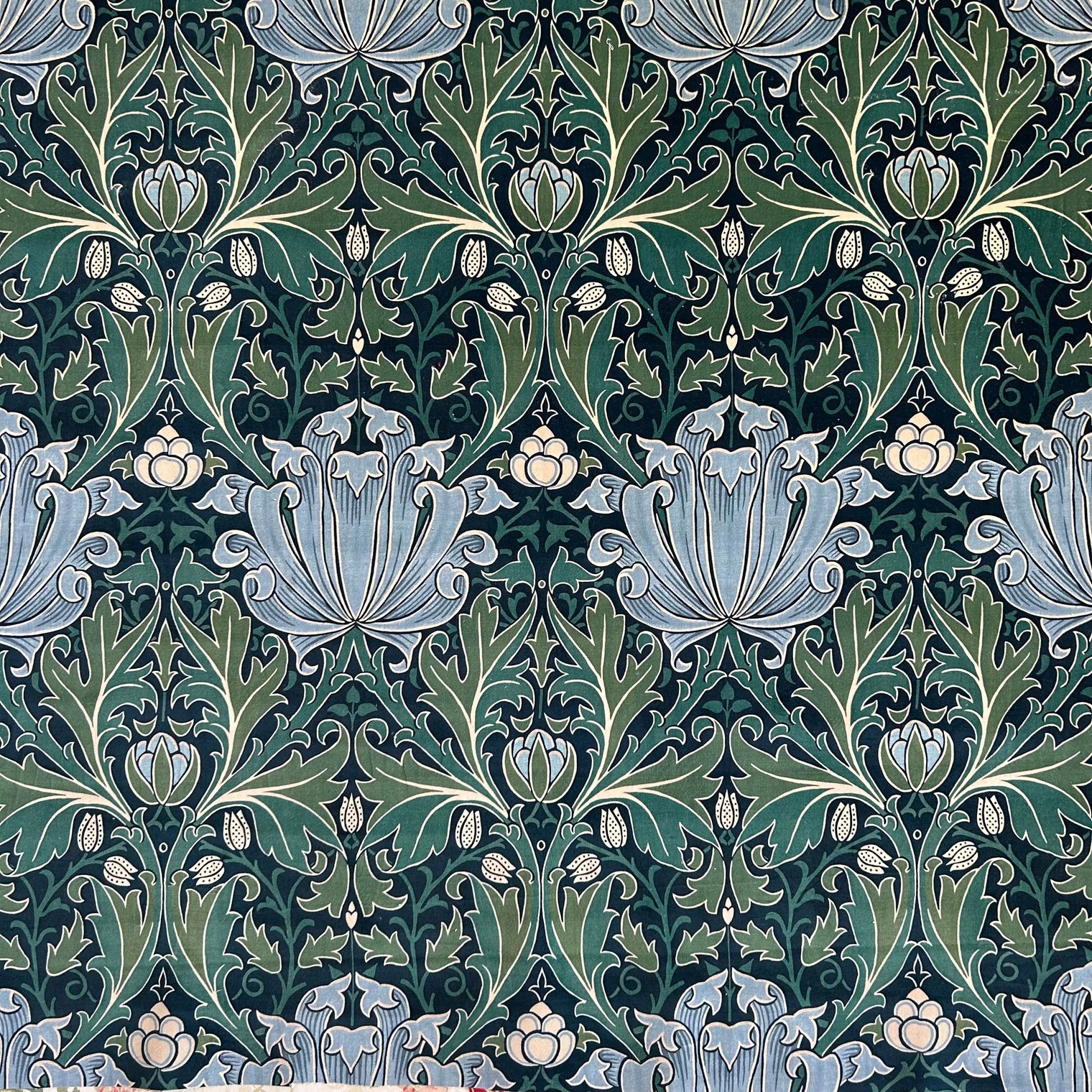 WM HELENA VELVET Not specified