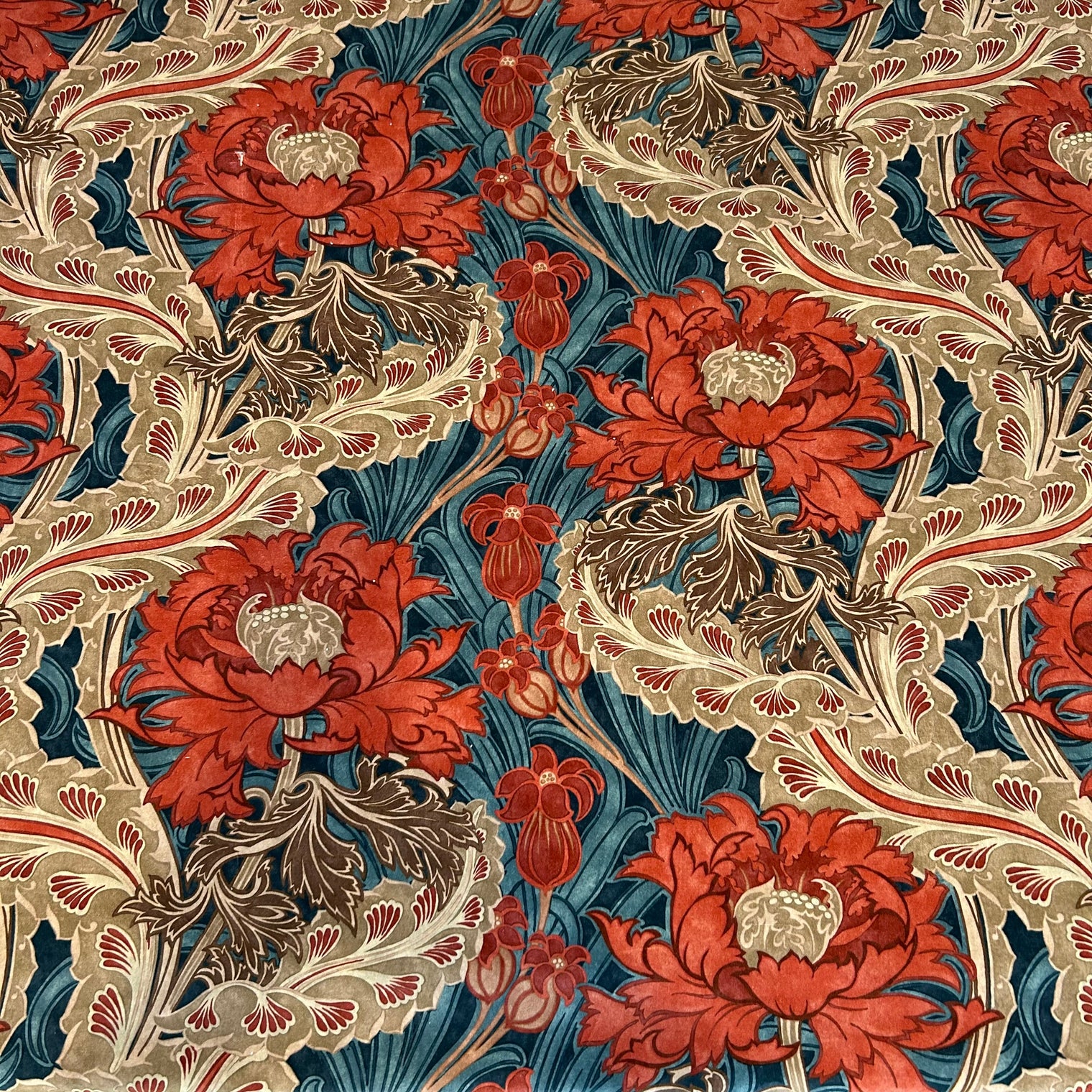BRANTWOOD VELVET Not specified