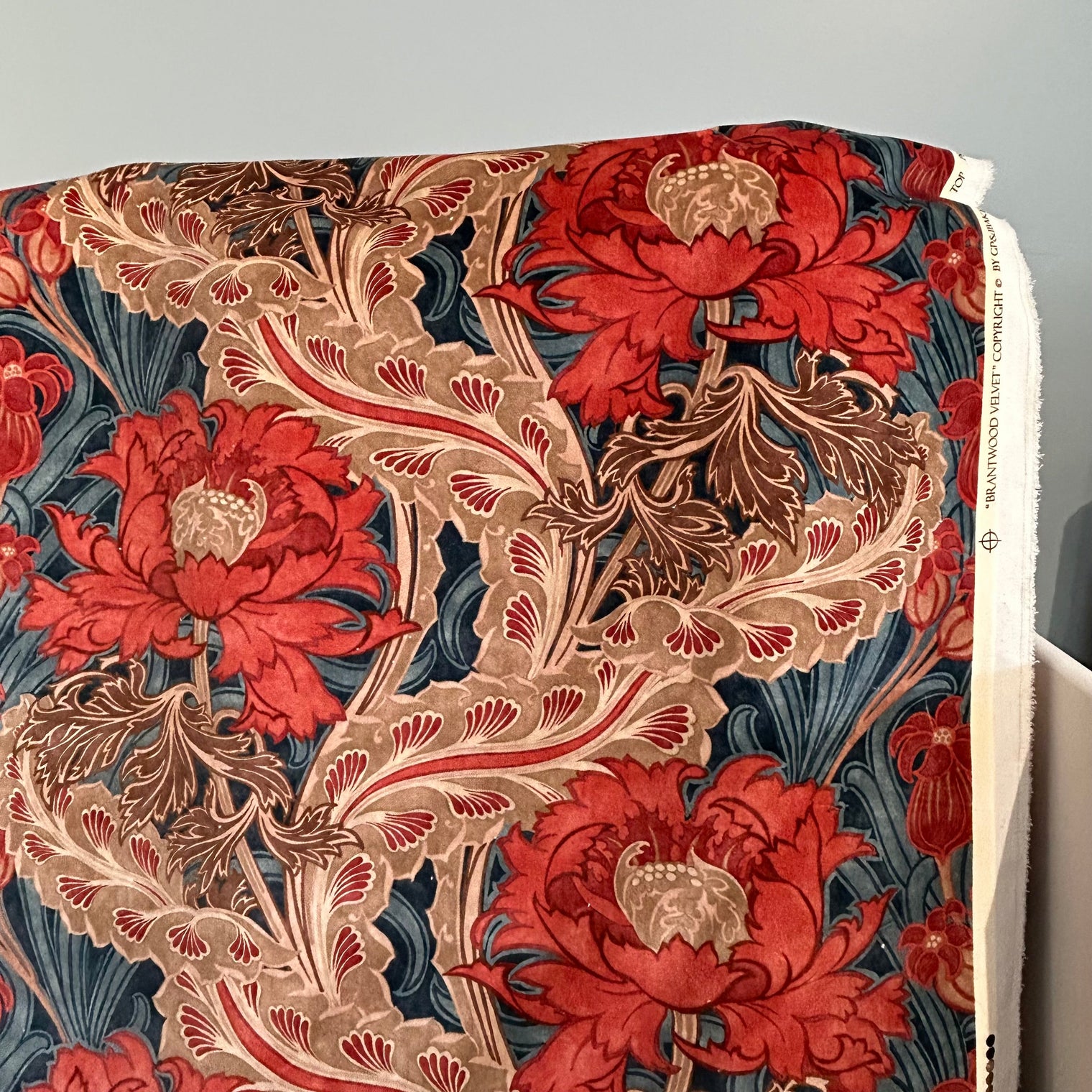 BRANTWOOD VELVET Not specified