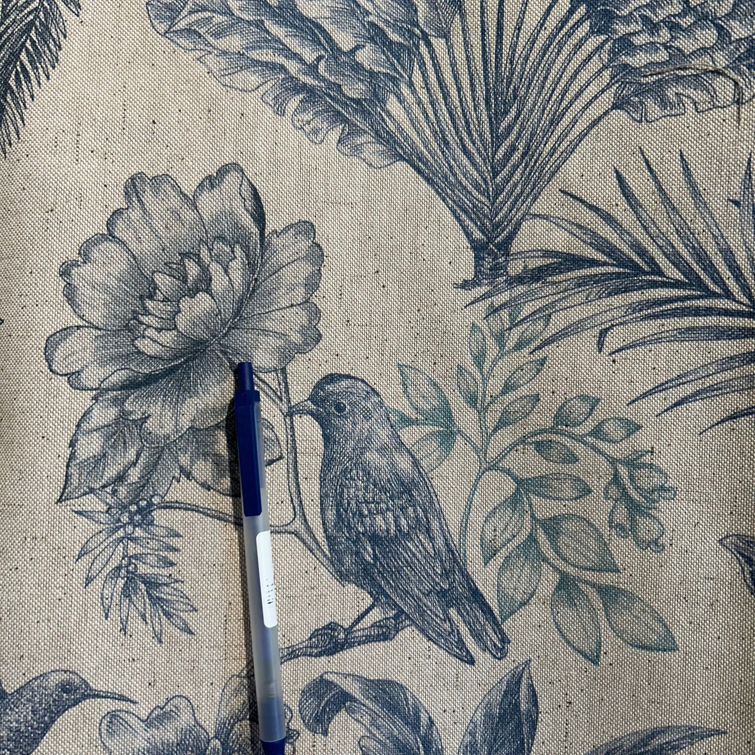 BIRD SONG Not specified
