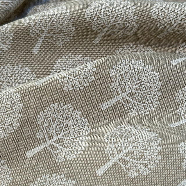 MULBERRY TREES Not specified