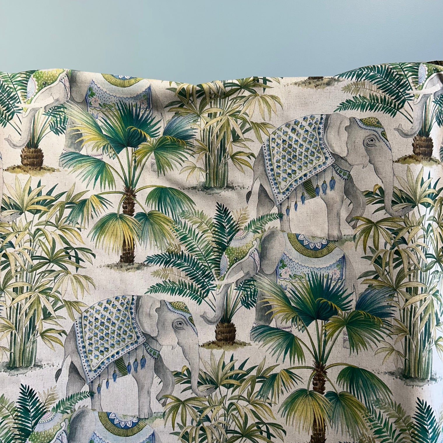ELEPHANT PALM Not specified