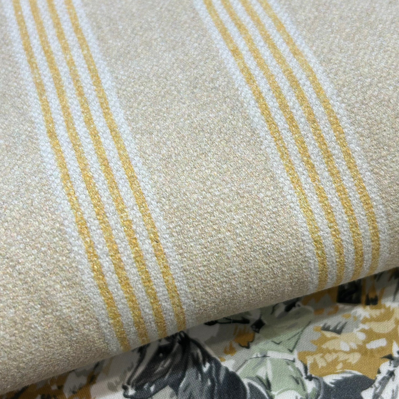CLUB STRIPE Not specified