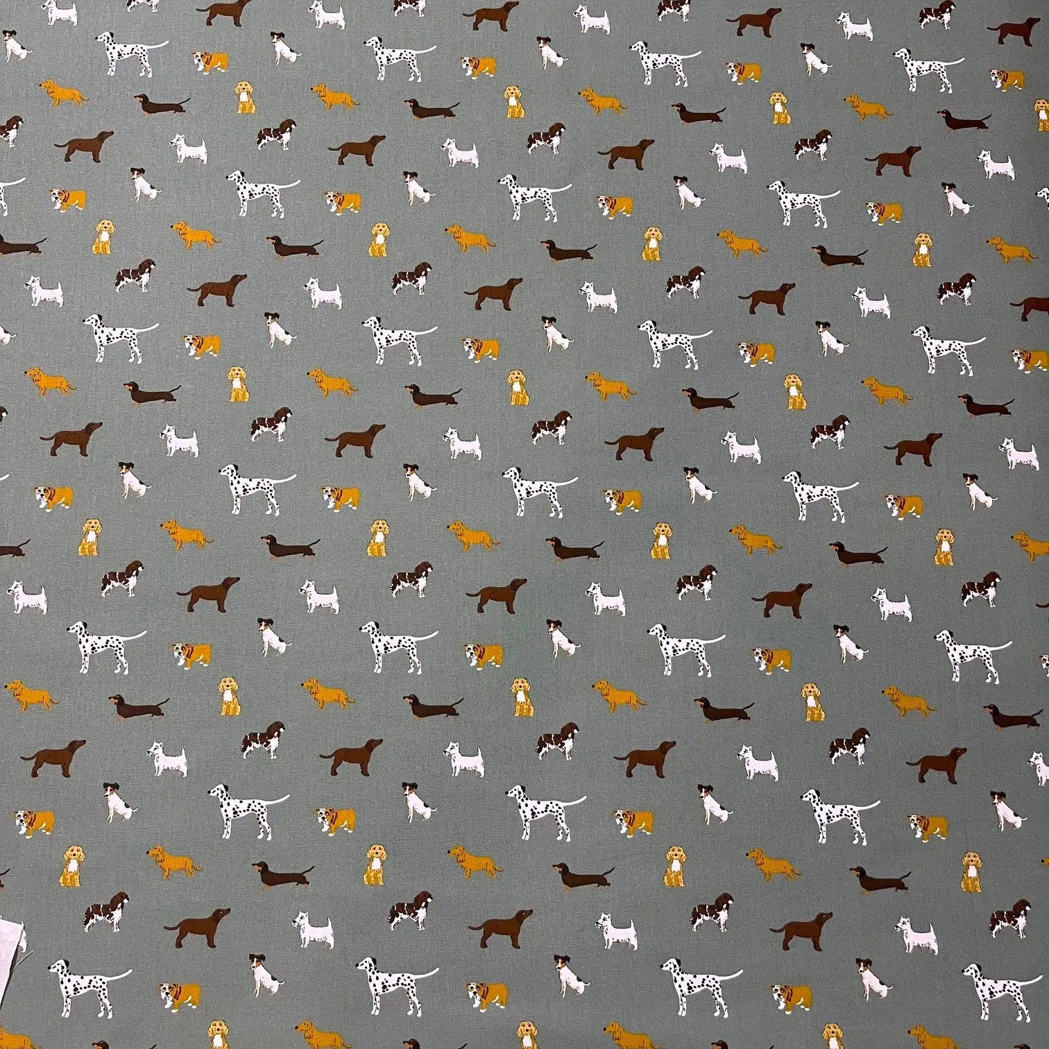 SA FETCH Not specified