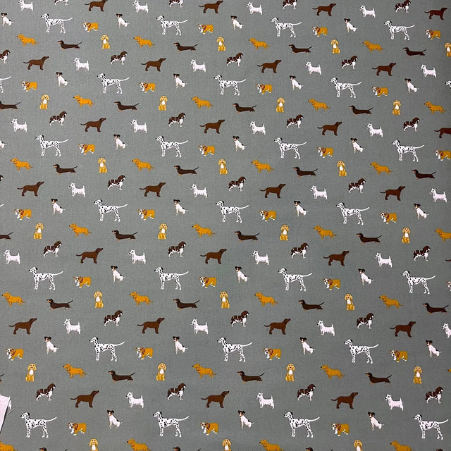 SA FETCH Not specified