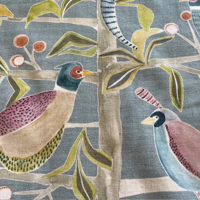 LOSSIE Not specified