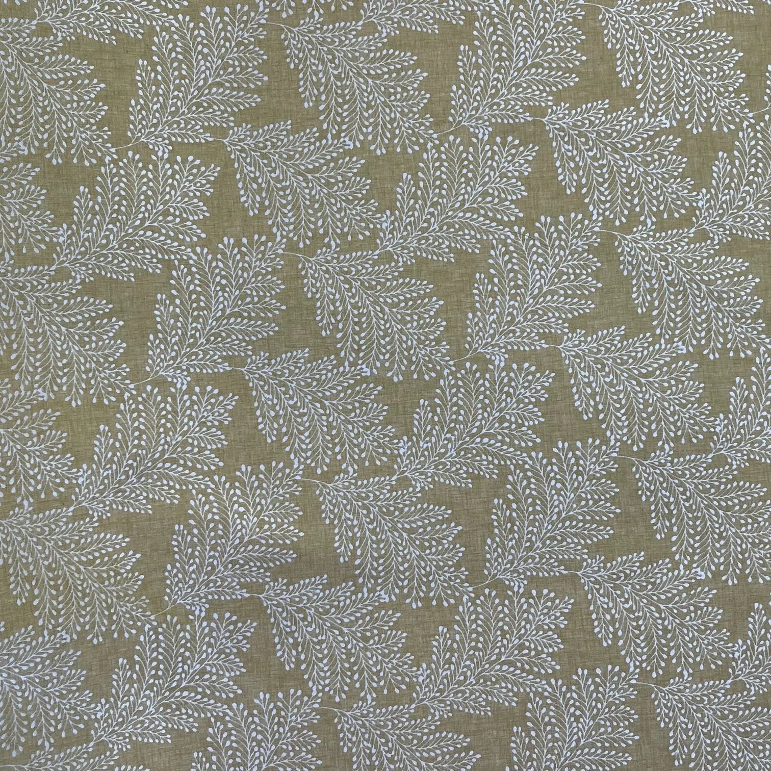 KENSINGTON Not specified