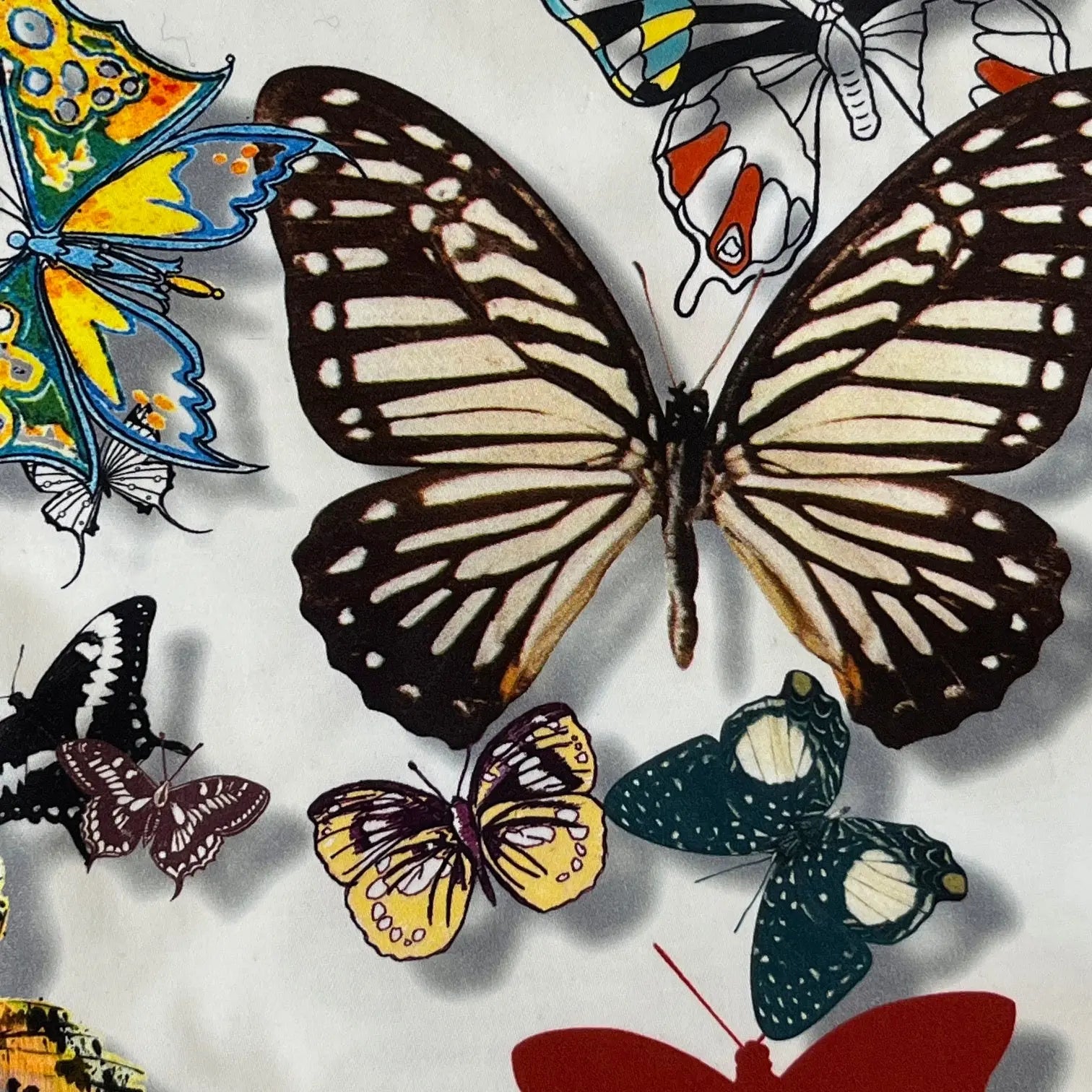 BUTTERFLY PARADE Not specified