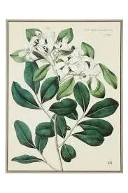 ART - Foliage and Blooms Not specified