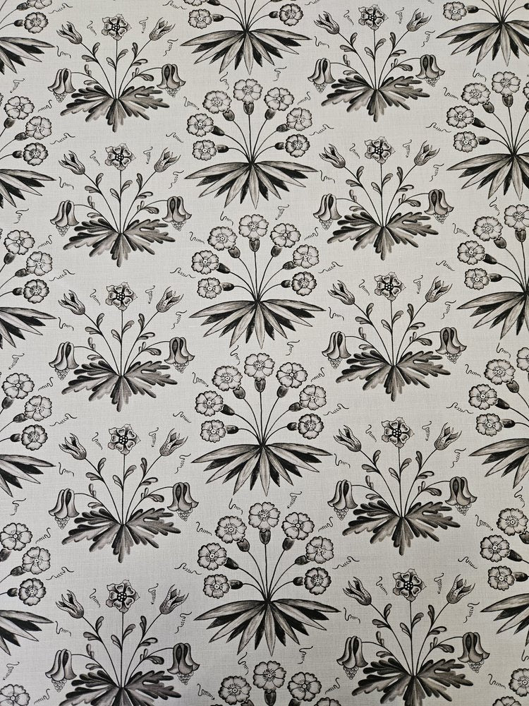 PRIMROSE Not specified