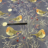 FESTIVE ROBIN