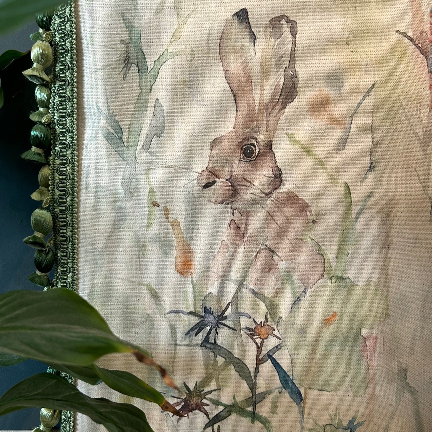 JACK RABBIT