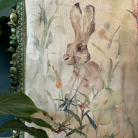 JACK RABBIT