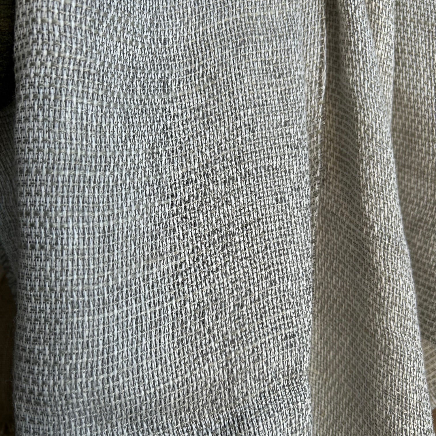 AINSA