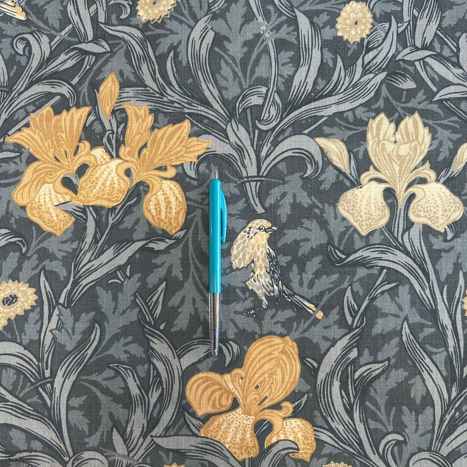 IRIS