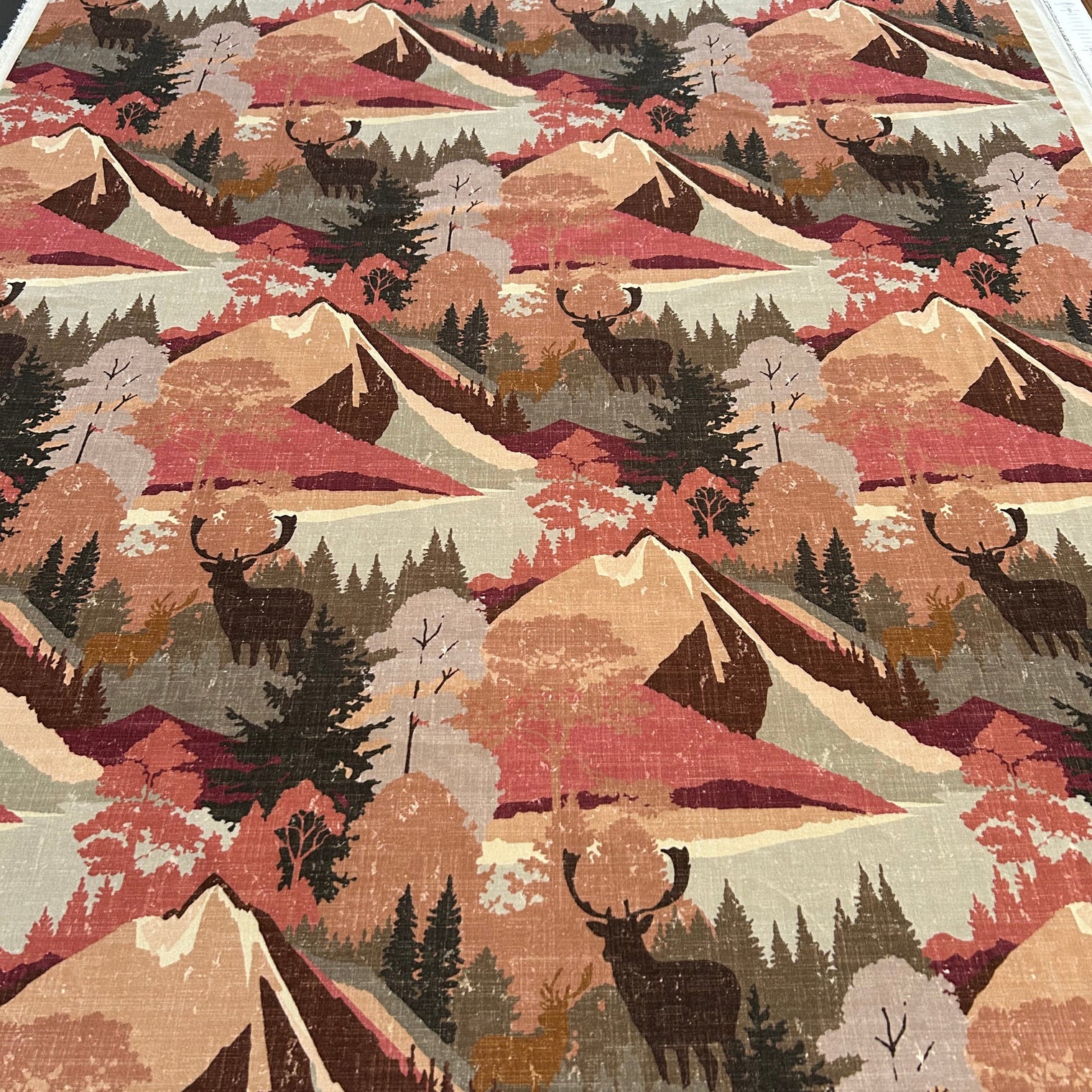 AUTUMN VELVET Not specified