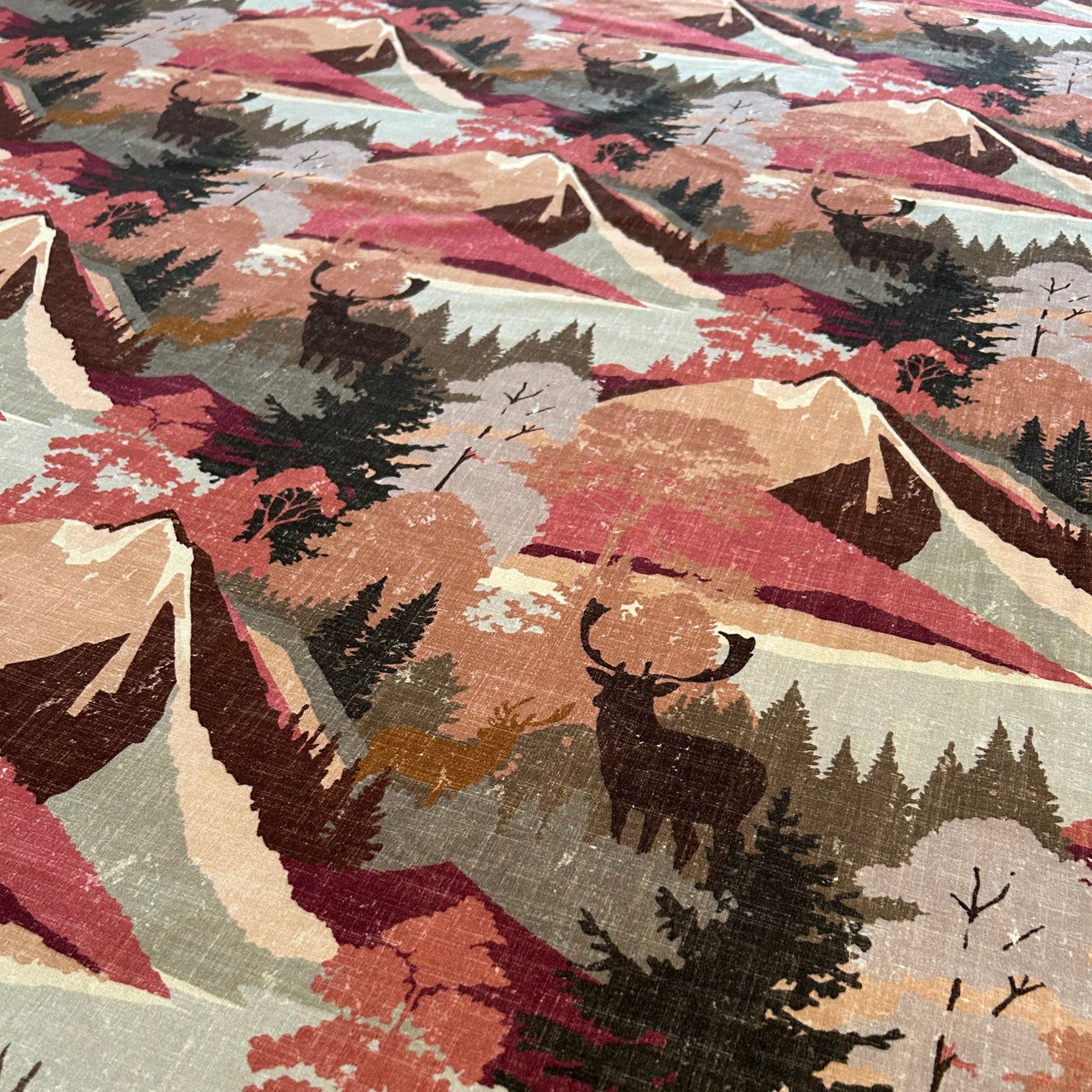 AUTUMN VELVET Not specified