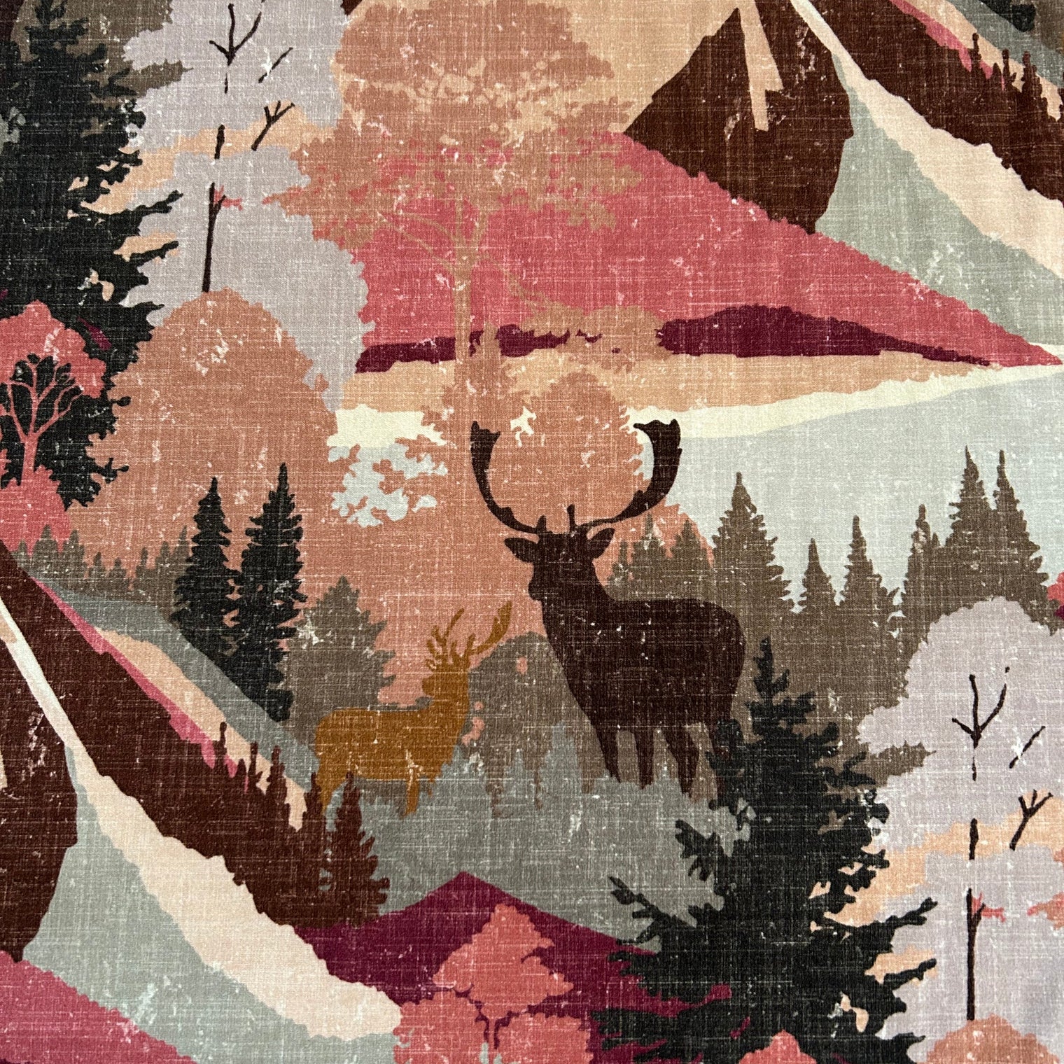 AUTUMN VELVET Not specified