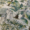 ELEPHANT PALM Not specified
