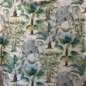 ELEPHANT PALM Not specified