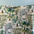 ELEPHANT PALM Not specified