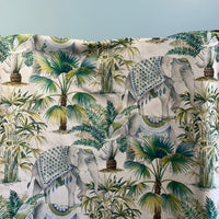 ELEPHANT PALM Not specified