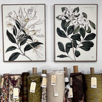 ART - Foliage and Blooms