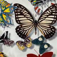 BUTTERFLY PARADE