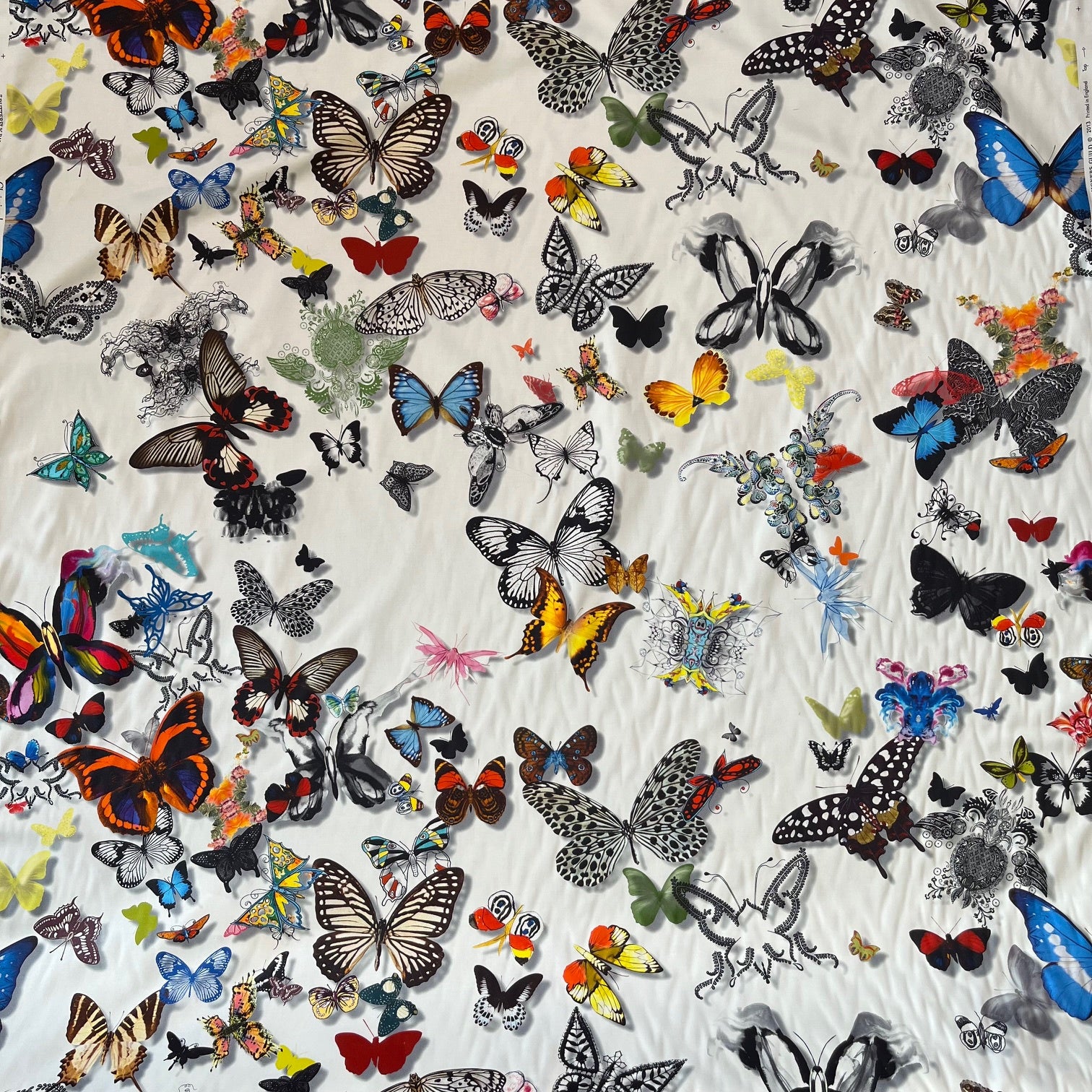 BUTTERFLY PARADE