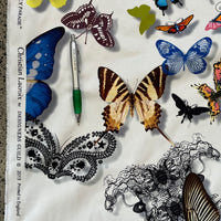 BUTTERFLY PARADE