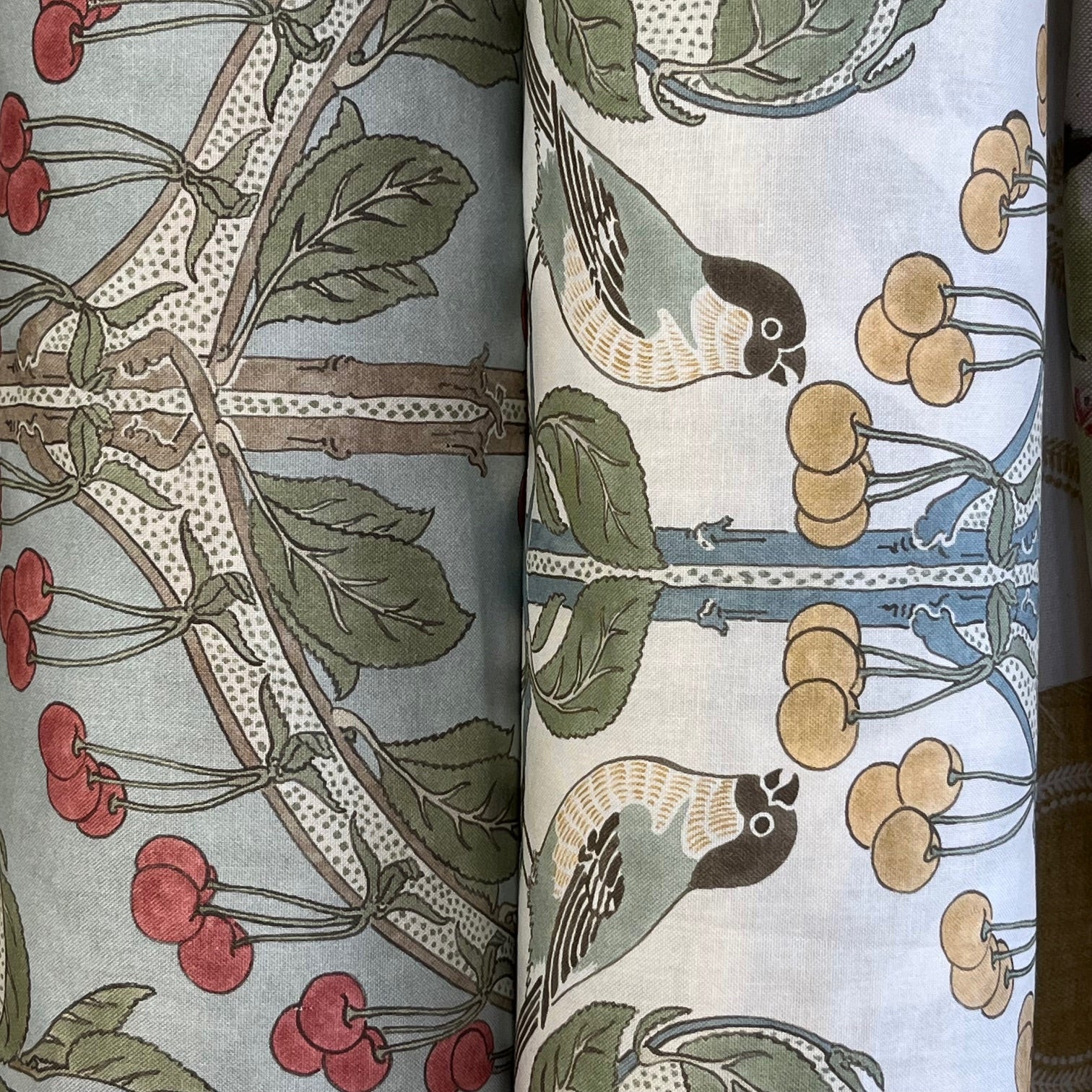BIRDS & CHERRIES