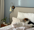 MARIOLA Stripe Not specified