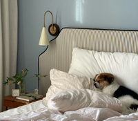 MARIOLA Stripe Not specified