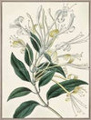 ART - Flourishing Foliage