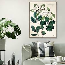ART - Foliage and Blooms