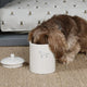 Sophie Allport Fetch Stoneware Pet Storage Jar | Sophie Allport | Fabric House